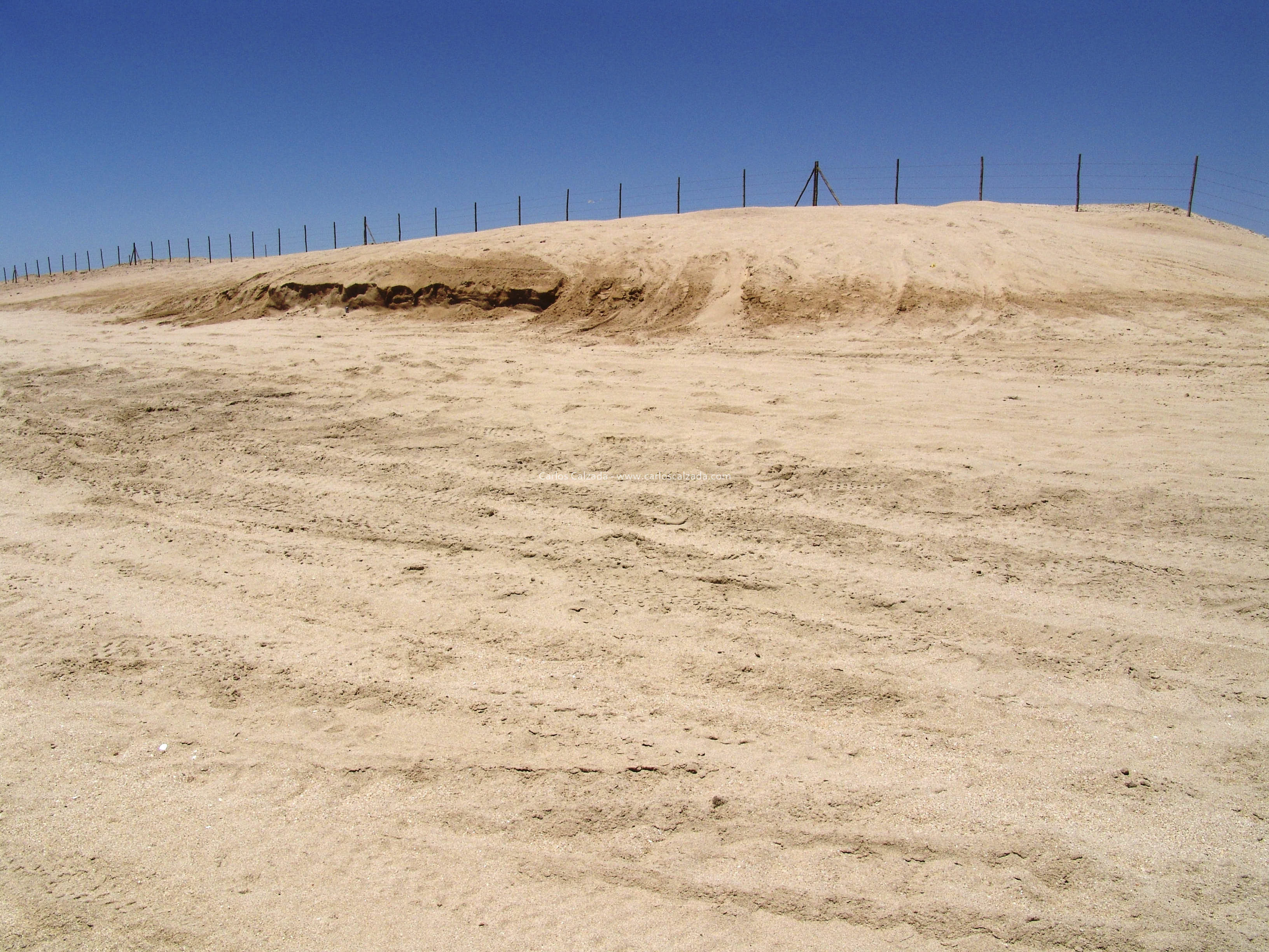Arenosa_2008 (26).jpg